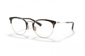 Giorgio Armani AR 5116 3013