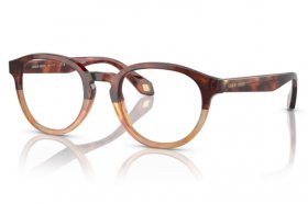 Giorgio Armani AR 7248 6034