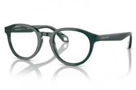 Giorgio Armani AR 7248 6044