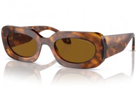 Giorgio Armani AR 8182 598833