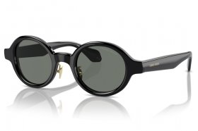 Giorgio Armani AR 8205 6060/1