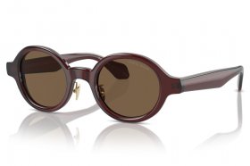 Giorgio Armani AR 8205 606273