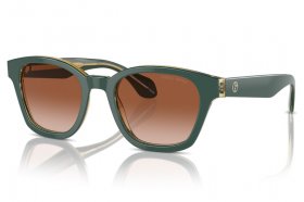 Giorgio Armani AR 8207 608613