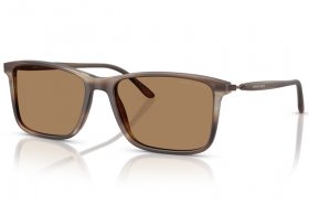 Giorgio Armani AR 8218 6167M4