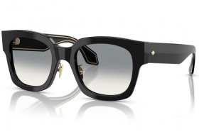 Giorgio Armani AR 8223 500111