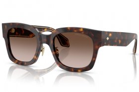 Giorgio Armani AR 8223 502613