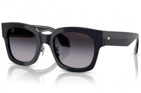 Giorgio Armani AR 8223 61608G