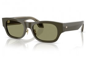 Giorgio Armani AR 8224 61582A