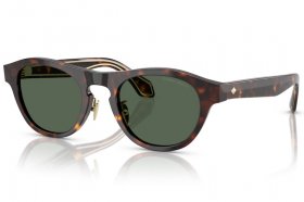 Giorgio Armani AR 8225 502671