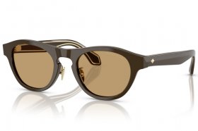 Giorgio Armani AR 8225 619473