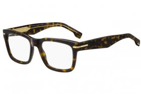 Hugo Boss BOSS 1720 086