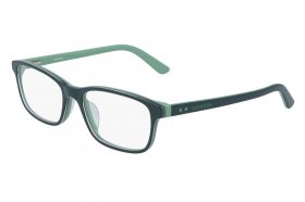 Calvin Klein CK 19507 308