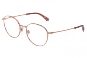 Dolce & Gabbana DG 1322 1298