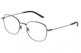 Dolce & Gabbana DG 1332 04