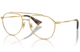 Dolce & Gabbana DG 1353 02