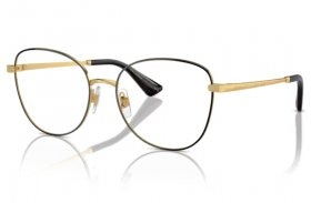 Dolce & Gabbana DG 1355 1334