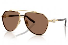 Dolce & Gabbana DG 2315 02/73