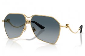 Dolce & Gabbana DG 2326 02/79