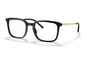 Dolce & Gabbana DG 3349 501