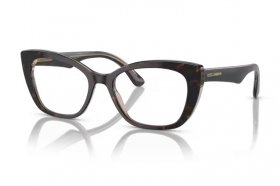 Dolce & Gabbana DG 3360 3256