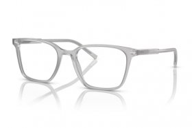 Dolce & Gabbana DG 3365 3421