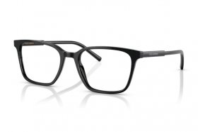 Dolce & Gabbana DG 3365 501