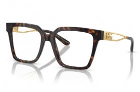 Dolce & Gabbana DG 3376B 502