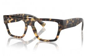 Dolce & Gabbana DG 3384 512
