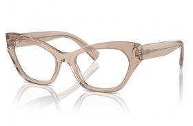 Dolce & Gabbana DG 3385 3432