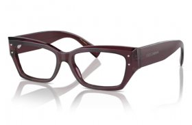 Dolce & Gabbana DG 3387 3045