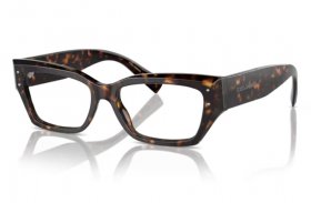 Dolce & Gabbana DG 3387 502