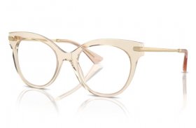 Dolce & Gabbana DG 3392 3432