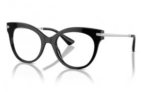 Dolce & Gabbana DG 3392 501