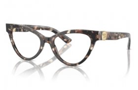 Dolce & Gabbana DG 3394 3438