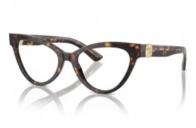 Dolce & Gabbana DG 3394 502