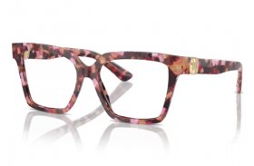 Dolce & Gabbana DG 3395 3440