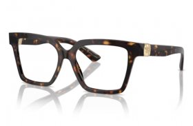 Dolce & Gabbana DG 3395 502
