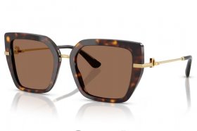 Dolce & Gabbana DG 4474 502/73
