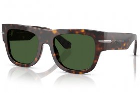 Dolce & Gabbana DG 4484 502/71