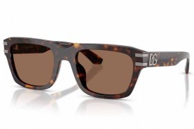 Dolce & Gabbana DG 4496 502/73