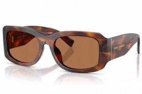 Dolce & Gabbana DG 4503 306373