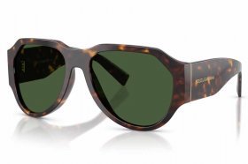 Dolce & Gabbana DG 4504 502/71