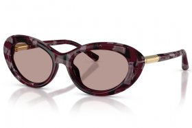 Dolce & Gabbana DG 4519 34647N