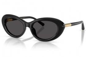 Dolce & Gabbana DG 4519 501/87