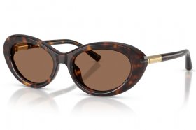 Dolce & Gabbana DG 4519 502/73