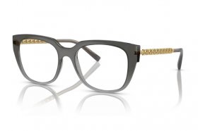 Dolce & Gabbana DG 5087 3385