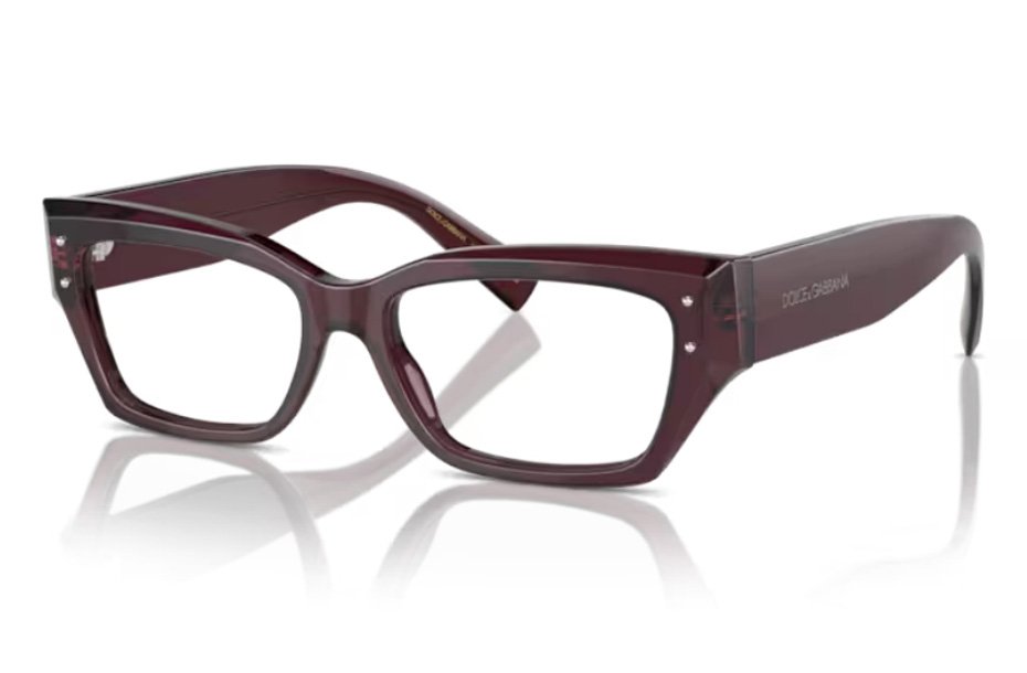 Dolce & Gabbana DG 3387 3045