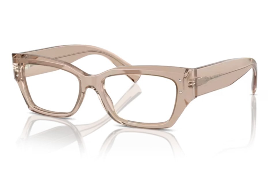 Dolce & Gabbana DG 3387 3432