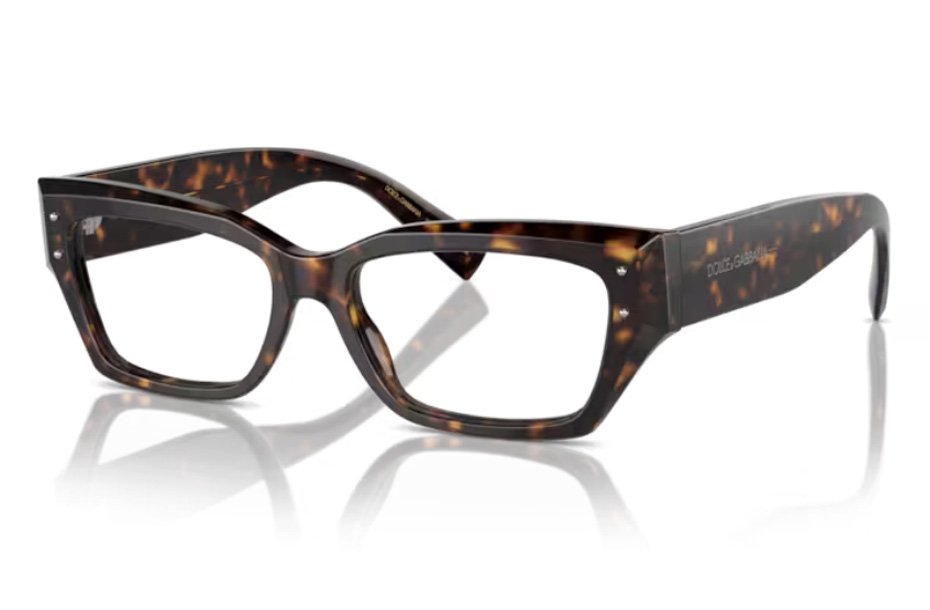 Dolce & Gabbana DG 3387 502