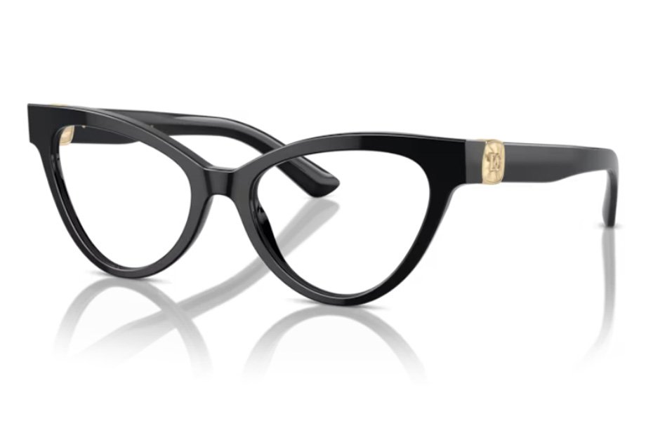 Dolce & Gabbana DG 3394 501